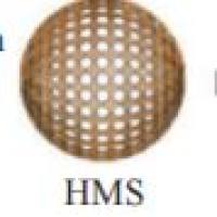 中空介孔二氧化硅纳米颗粒包载3-吲哚丙 酸 MSNs@IPA
