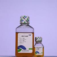 新生牛血清（优级）