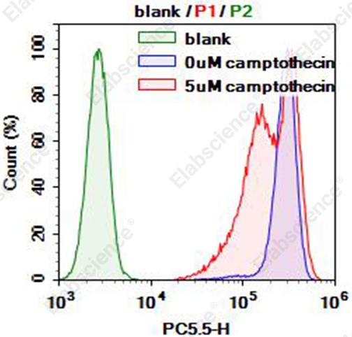 线粒体红色荧光探针检测试剂盒