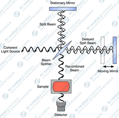 圆二色谱测试：红外光谱分析的得力助手