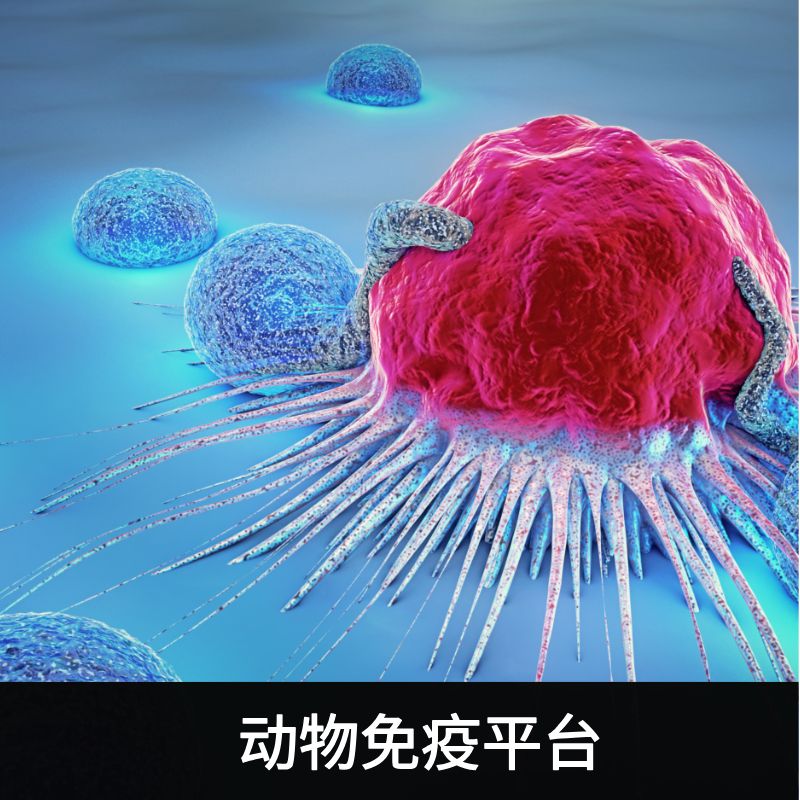 动物免疫平台