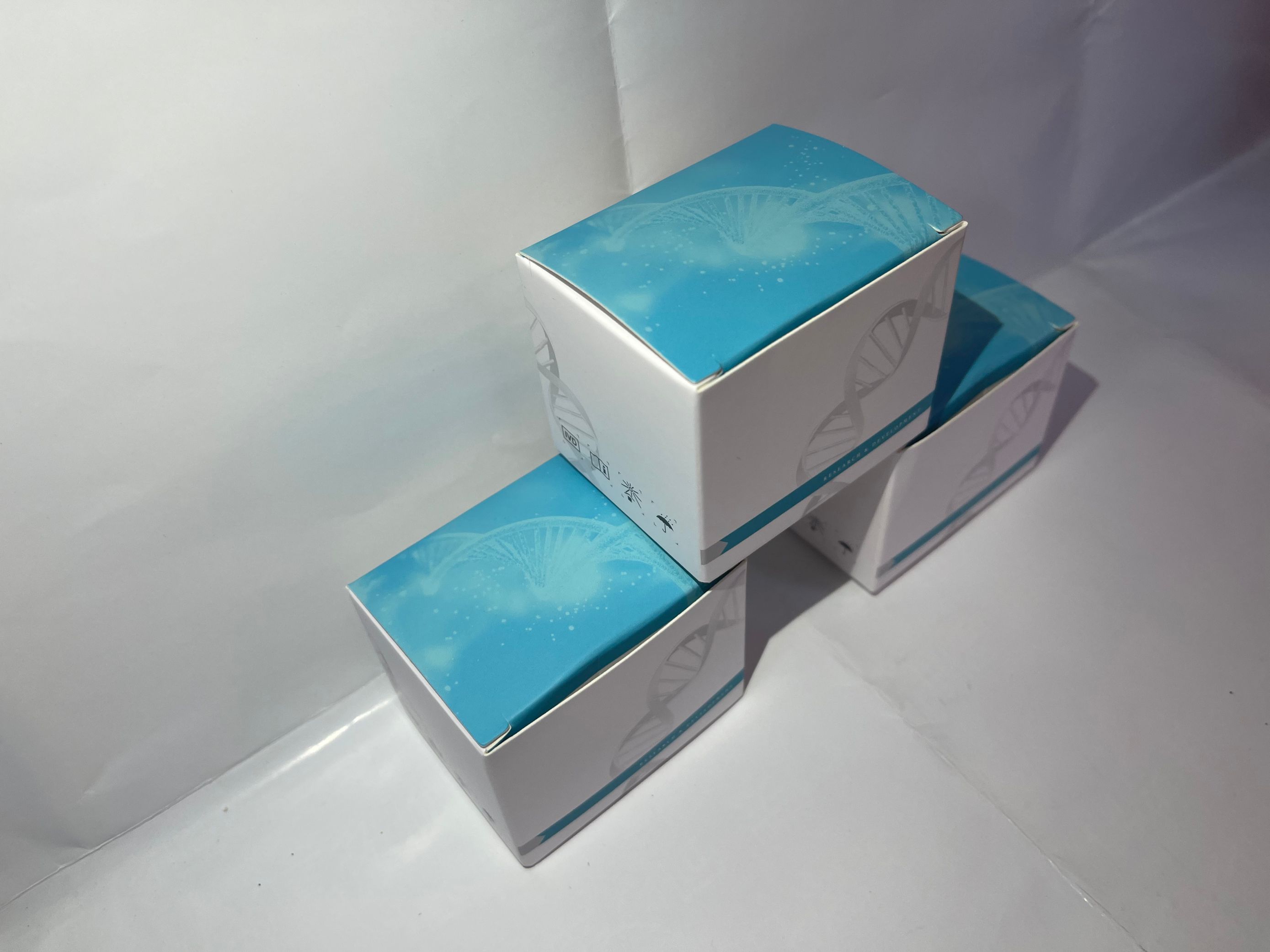 荧光定量PCR（qPCR）的基本步骤