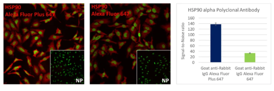 手机屏幕截图

AI 生成的内容可能不正确。