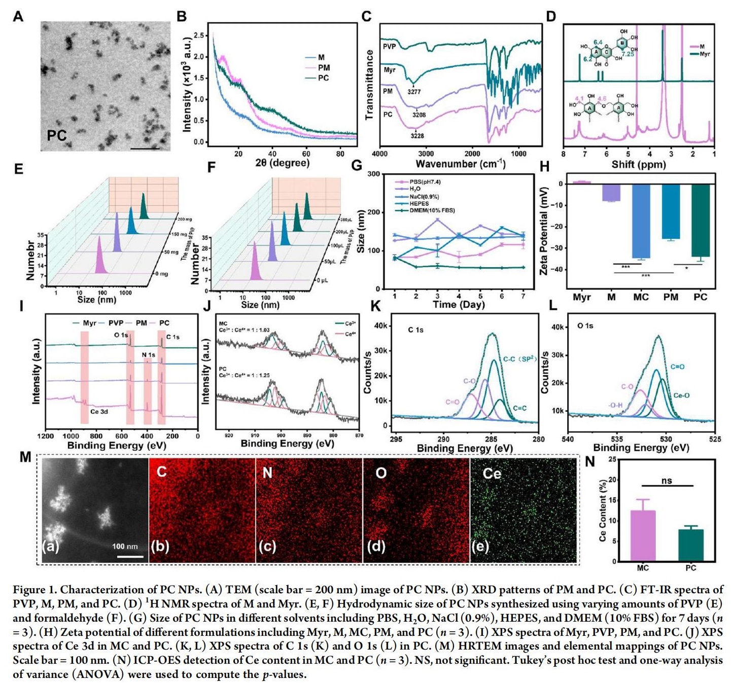 科研加油站 | 杨梅素低聚物治疗缺血性中风