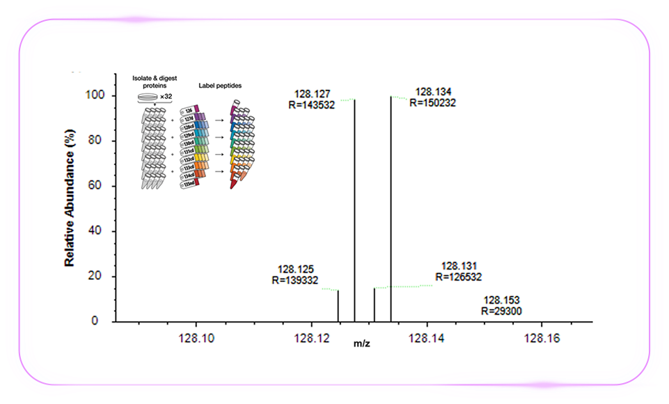 「质」敬未来：Zoom 视角下的 Orbitrap Astral 质谱仪解锁生物宇宙的多重可能