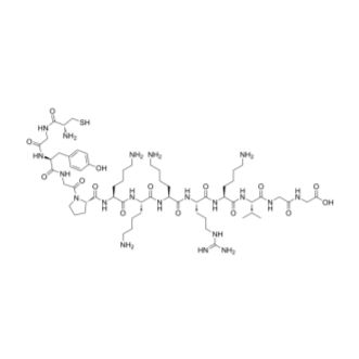 CGYGPKKKRKVGG  104914-40-1   Cys-Gly-Tyr-Gly-Pro-Lys-Lys-Lys-Arg-Lys-Val-Gly-Gly    细胞穿膜肽（NLS）