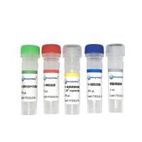 嗜热链球菌探针法PCP试剂盒