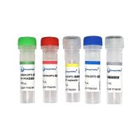 非洲马瘟病毒探针法RT-PCR试剂盒