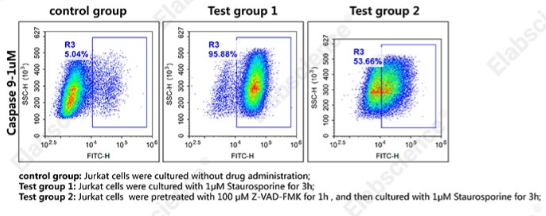 Caspase 9 活细胞流式检测底物
