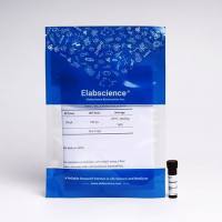 Caspase 6 活细胞流式检测底物