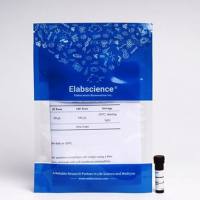 Caspase 3/7和Annexin V凋亡双染试剂盒