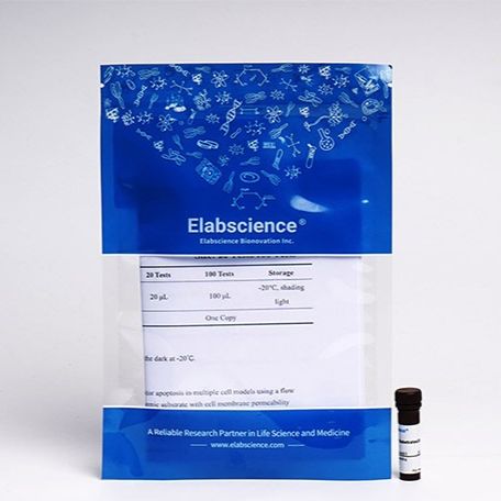 Caspase 9 活细胞流式检测底物