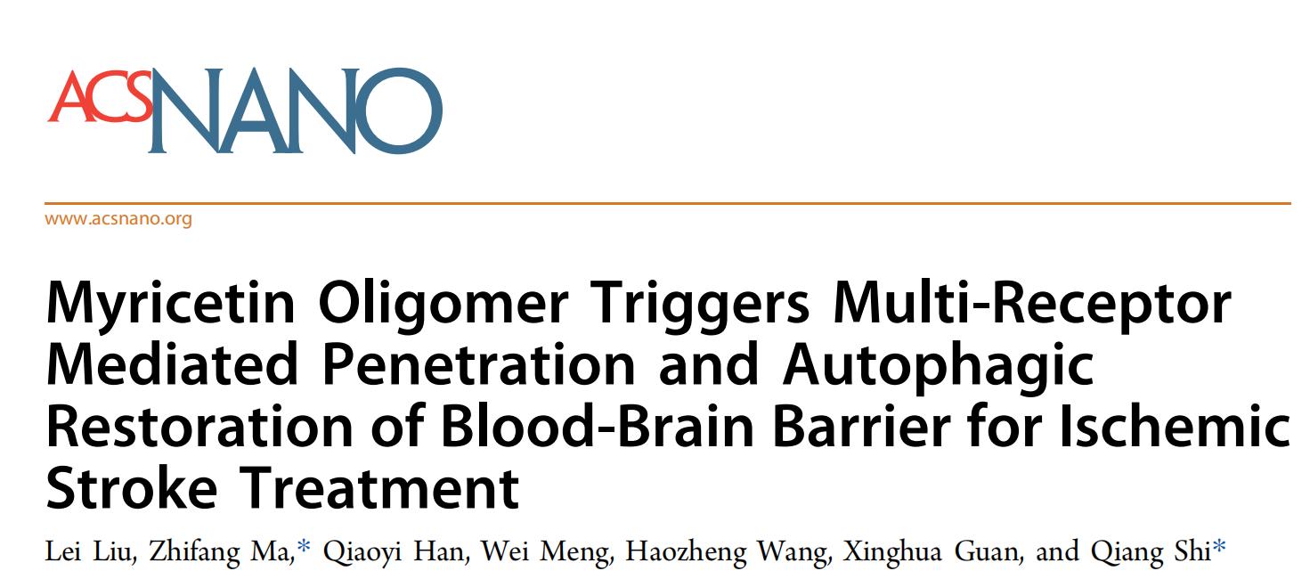 科研加油站 | 杨梅素低聚物治疗缺血性中风
