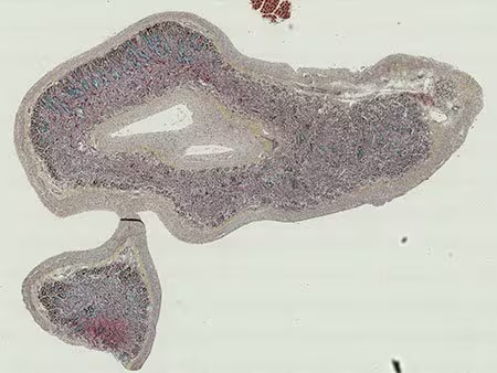 图片包含 水, 板子, 站, 桌子

AI 生成的内容可能不正确。