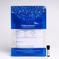 Caspase 3/7和PI凋亡双染试剂盒