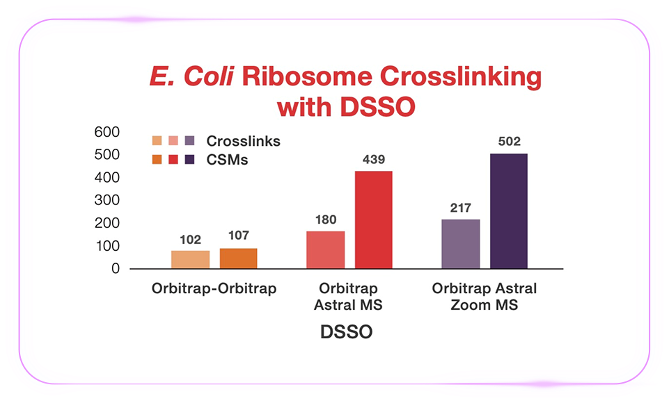 「质」敬未来：Zoom 视角下的 Orbitrap Astral 质谱仪解锁生物宇宙的多重可能
