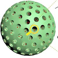 介孔二氧化硅纳米颗粒包载氯己定 MSNs@CHX