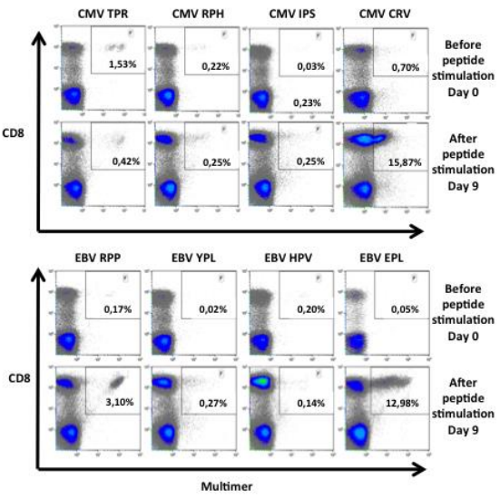 PepMix AAV5(衣壳蛋白)大促，助力科研加速