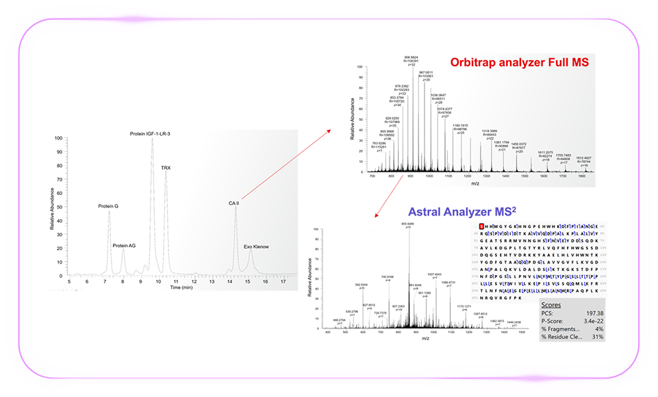 「质」敬未来：Zoom 视角下的 Orbitrap Astral 质谱仪解锁生物宇宙的多重可能