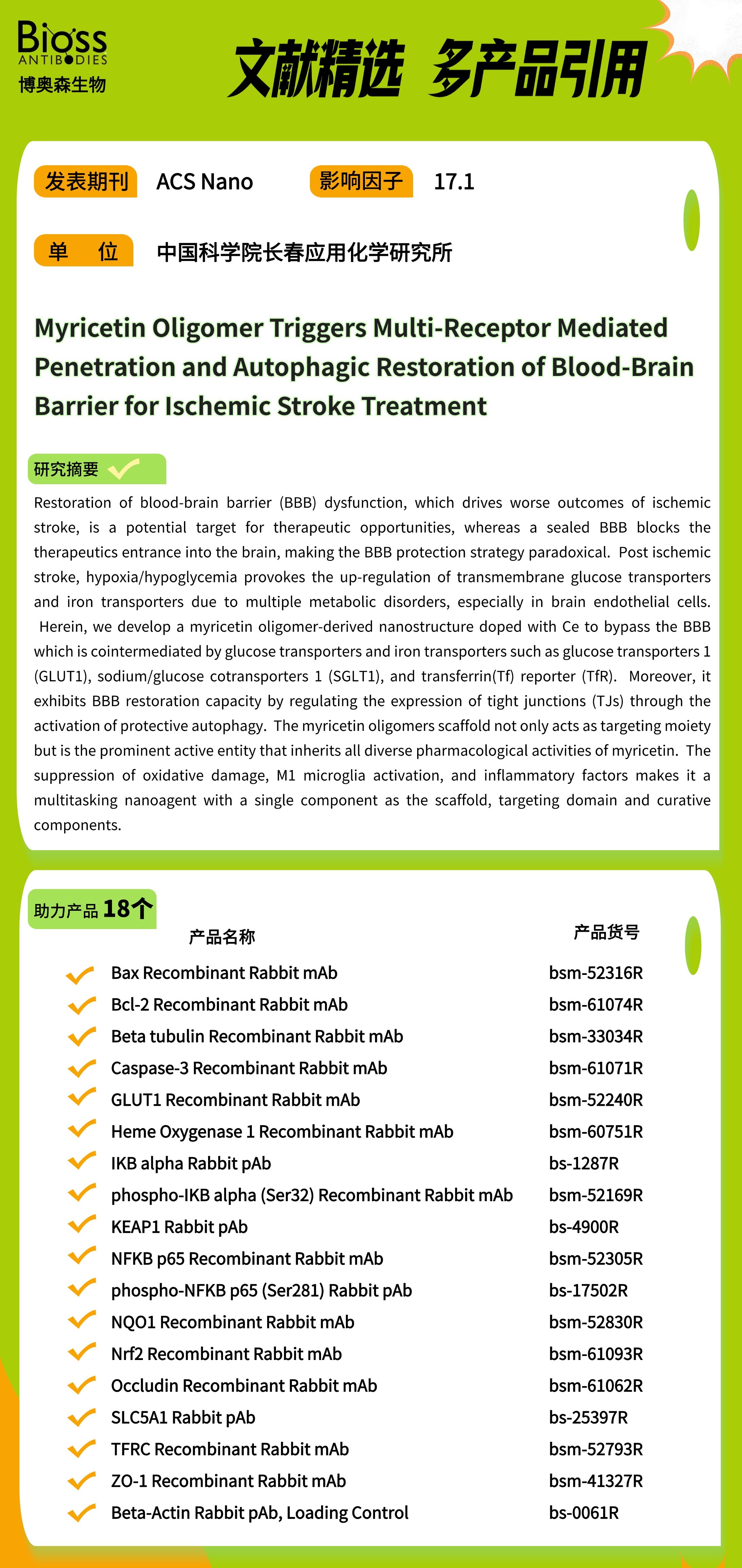 科研加油站 | 杨梅素低聚物治疗缺血性中风