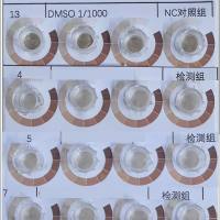 体外美白功效评估