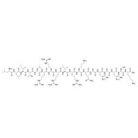 383430-30-6  LLIILRRRIRKQAHAHSK  pVEC (Cadherin-