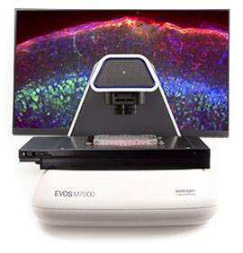 桌子上放了游戏机

AI 生成的内容可能不正确。