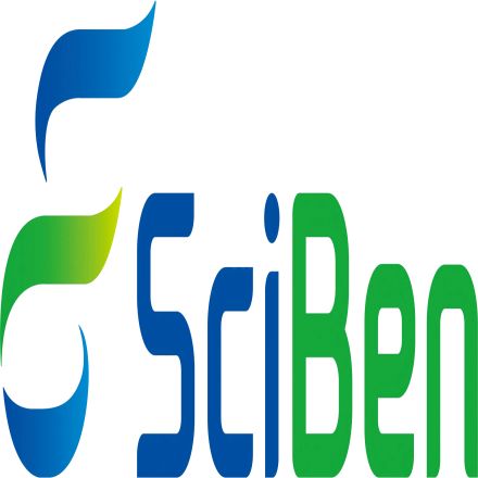 KD-Validated Anti-Tumor Protein P53 Rabbit pAb（KD&nbsp;KO验证抗体，高特异性）