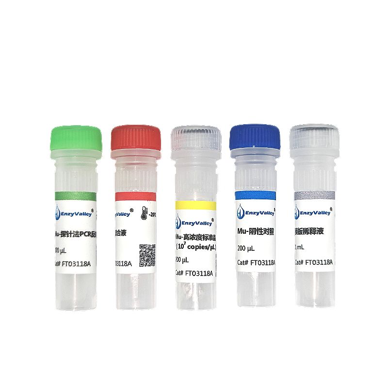 溃疡分枝杆菌探针法PCP试剂盒