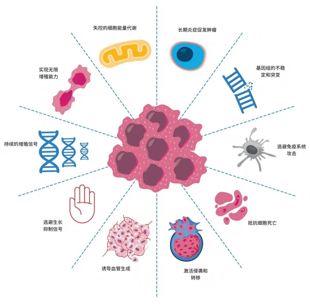 用于癌症研究的安捷伦 Seahorse XF 解决方案