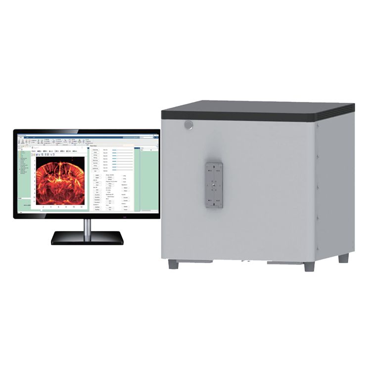 小动物脑功能超声成像系统