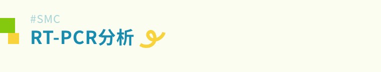 从“全能”到“肌能” | 昂朴hiPSC来源的骨骼肌细胞分化技术及应用全解析