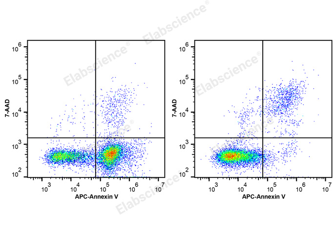 细胞凋亡研究新利器：Elabscience Annexin V-APC/7-AAD凋亡检测试剂盒，精准解析细胞生死奥秘