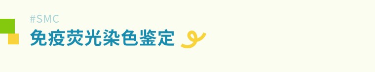 从“全能”到“肌能” | 昂朴hiPSC来源的骨骼肌细胞分化技术及应用全解析