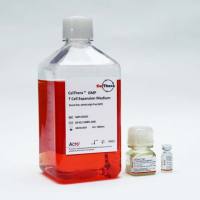 CelThera™ GMP级无血清MSCs扩增培养基