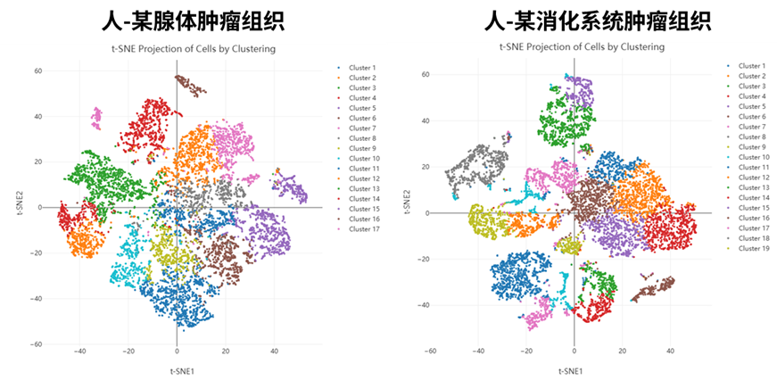 百奥益康肿瘤组织解离试剂盒