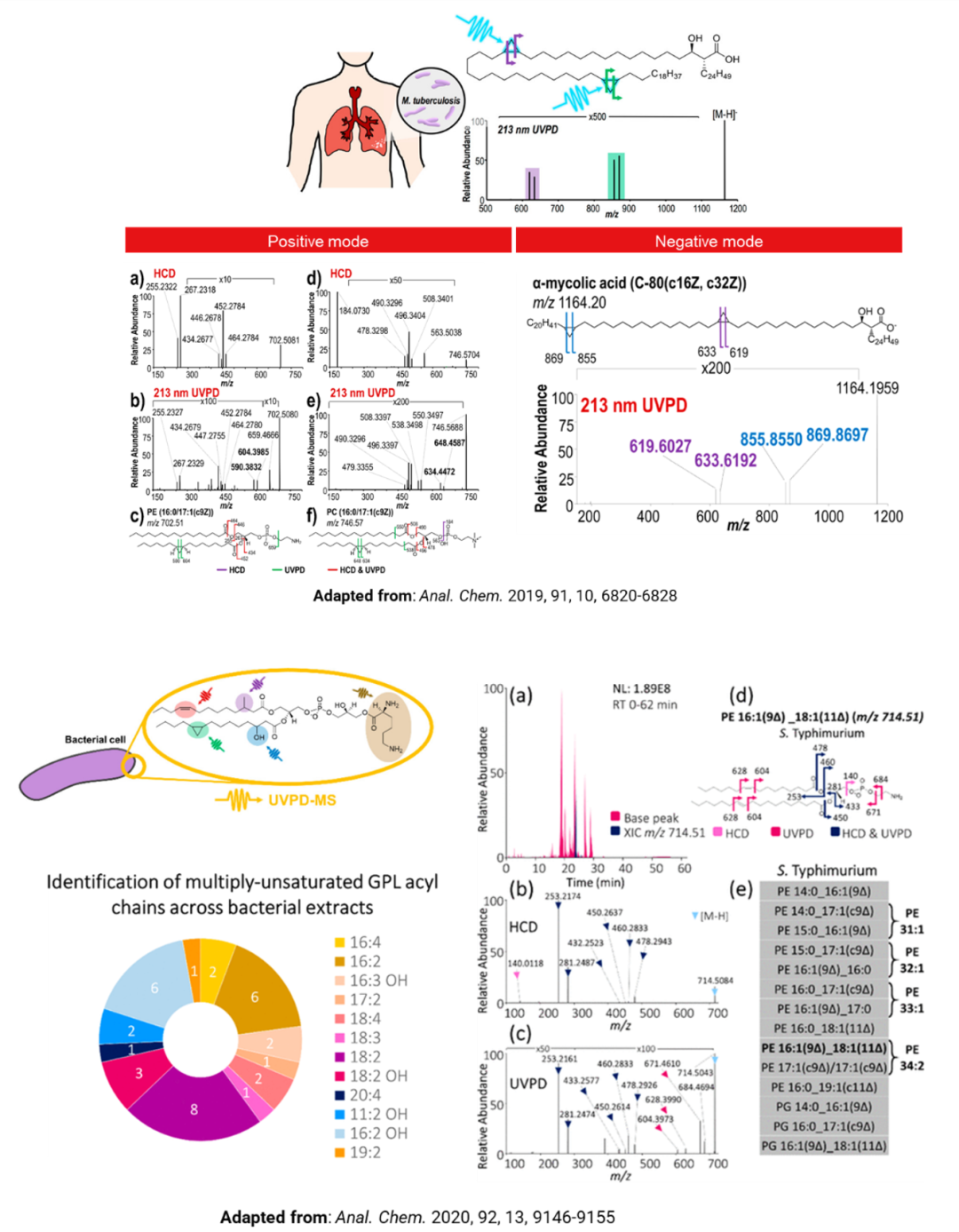 Orbitrap多种碎裂方式深度解析脂质精细结构