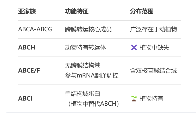 解码ABC转运蛋白——跨膜运输的超级家族