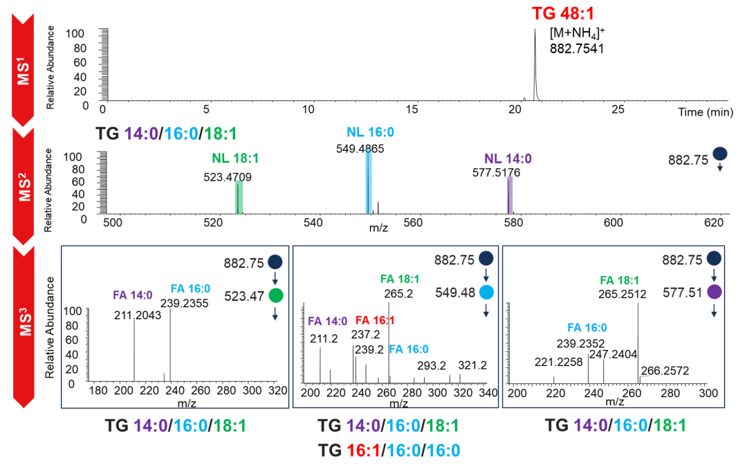 Orbitrap多种碎裂方式深度解析脂质精细结构