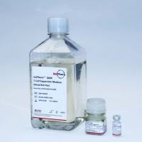 CelThera™ GMP T细胞扩增培养基