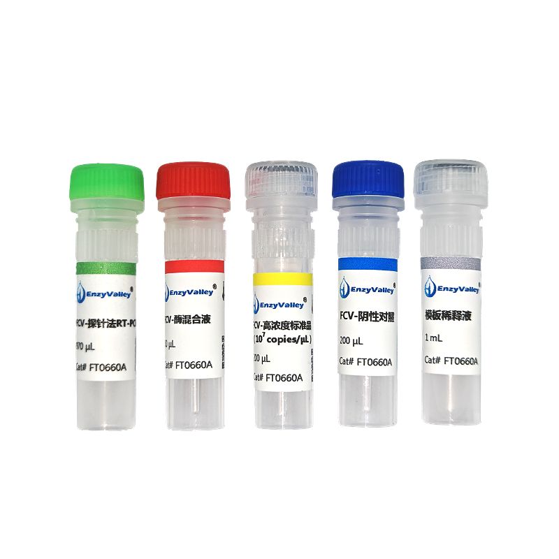 猫杯状病毒探针法RT-PCR试剂盒