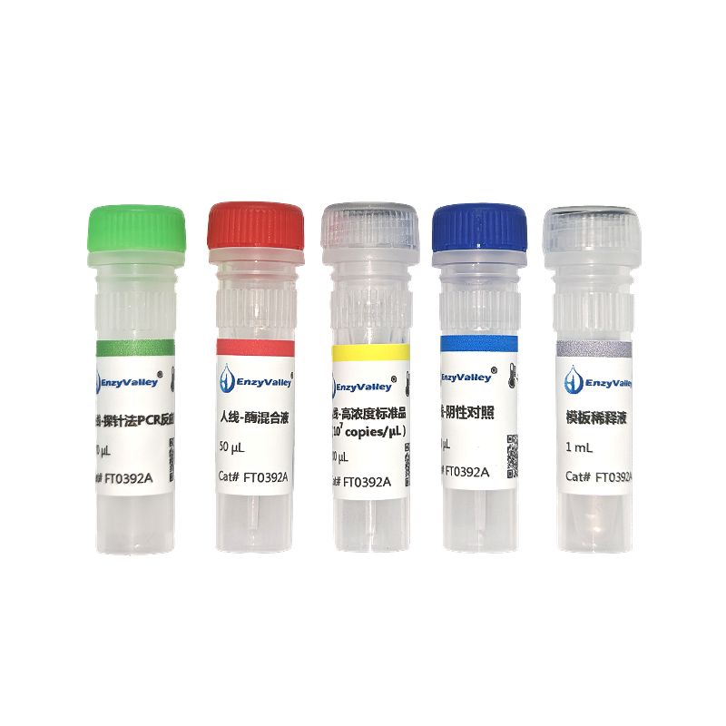 人线粒体DNA探针法PCR试剂盒