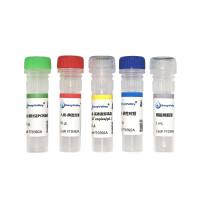 人线粒体DNA探针法PCR试剂盒