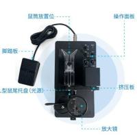 小动物尾静脉血管显像仪，小鼠静脉血管显像仪