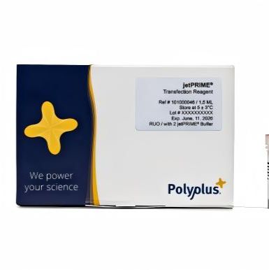 Polyplus 101000046 jetPRIME® 通用型DNA/siRNA 转染试剂（114-15）