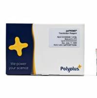 Polyplus 101000046 jetPRIME® 通用型DNA/siRNA 转染试剂(114-15)