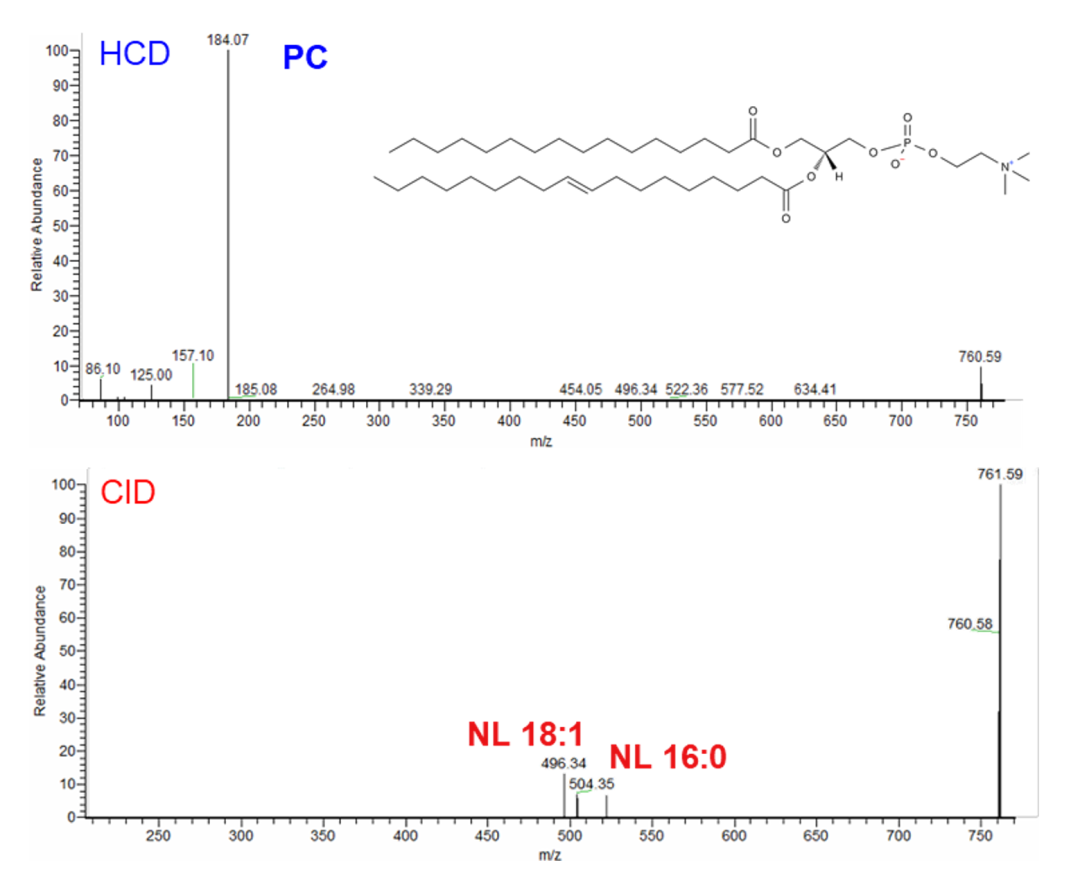 Orbitrap多种碎裂方式深度解析脂质精细结构