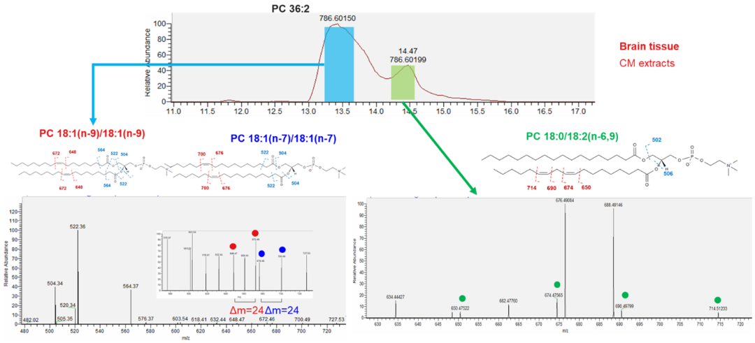 Orbitrap多种碎裂方式深度解析脂质精细结构