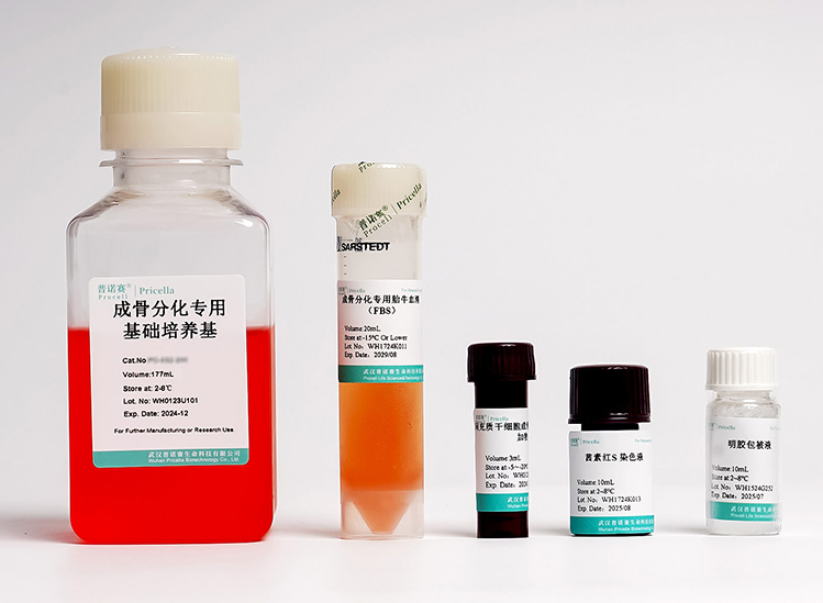 大鼠脂肪间充质干细胞成骨诱导分化培养基：精准赋能，高效促成骨分化