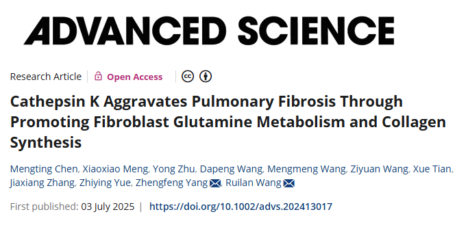 组织蛋白酶K通过促进成纤维细胞谷氨酰胺代谢和胶原蛋白合成加重肺纤维化